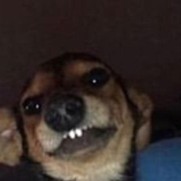 Meet your Posher, Dania - Picture 1 of 1